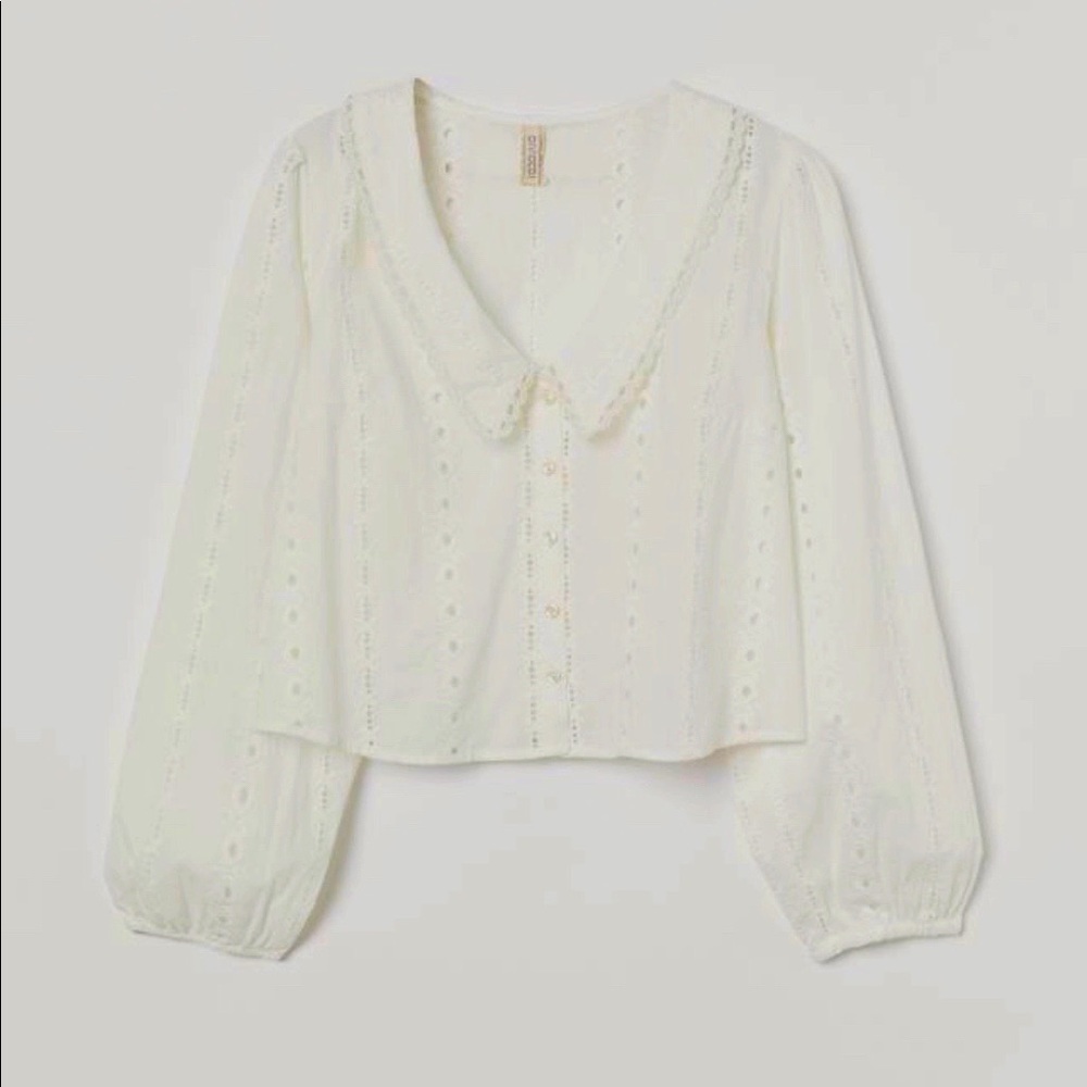 H&M Embroidered Eyelet Blouse